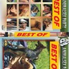 DVD Animal sex party : best of