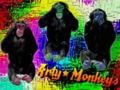 Arty Monkeys