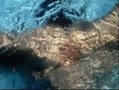 Fille nue dans l'eau