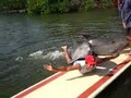 Un homme sodomisé par un dauphin